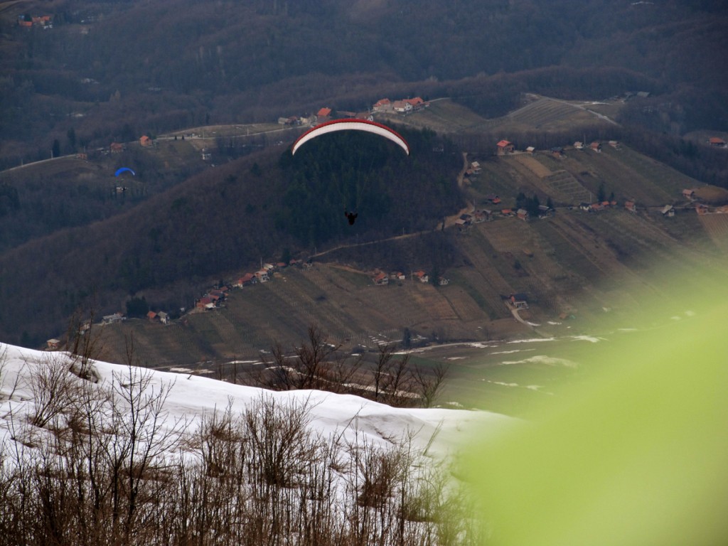 Ivancica