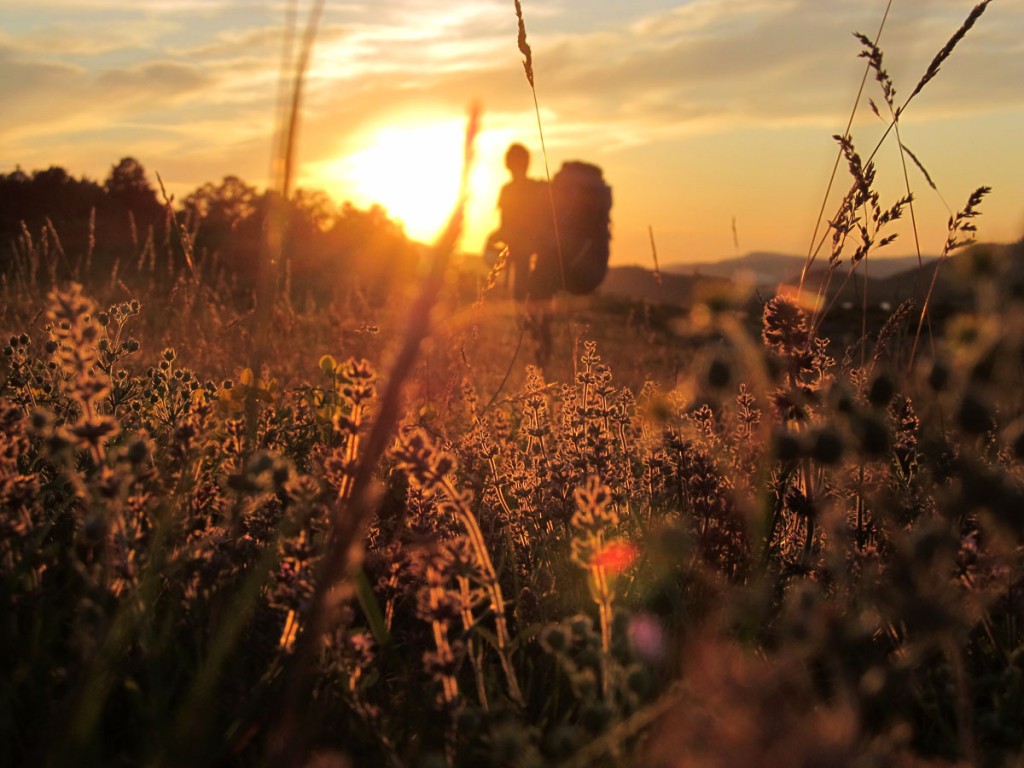 Szép dolog a repülés